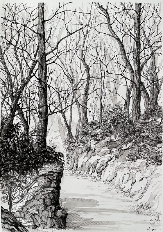 Ink drawing of a narrow path winding between rocks and tall bare trees in a forest