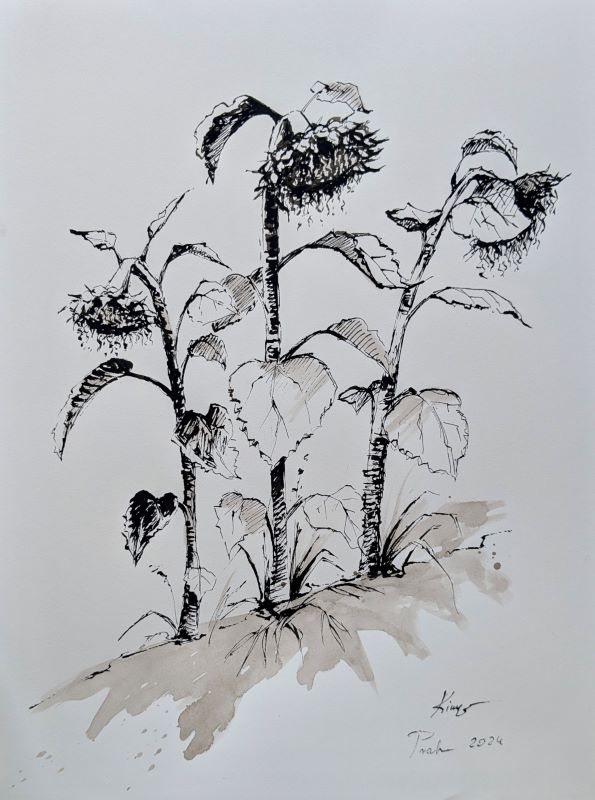 Sketch 4